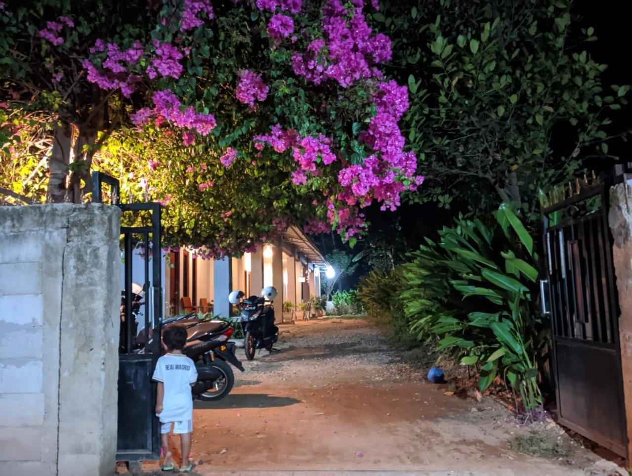 Wl Guesthouse 라부안 바조 외부 사진