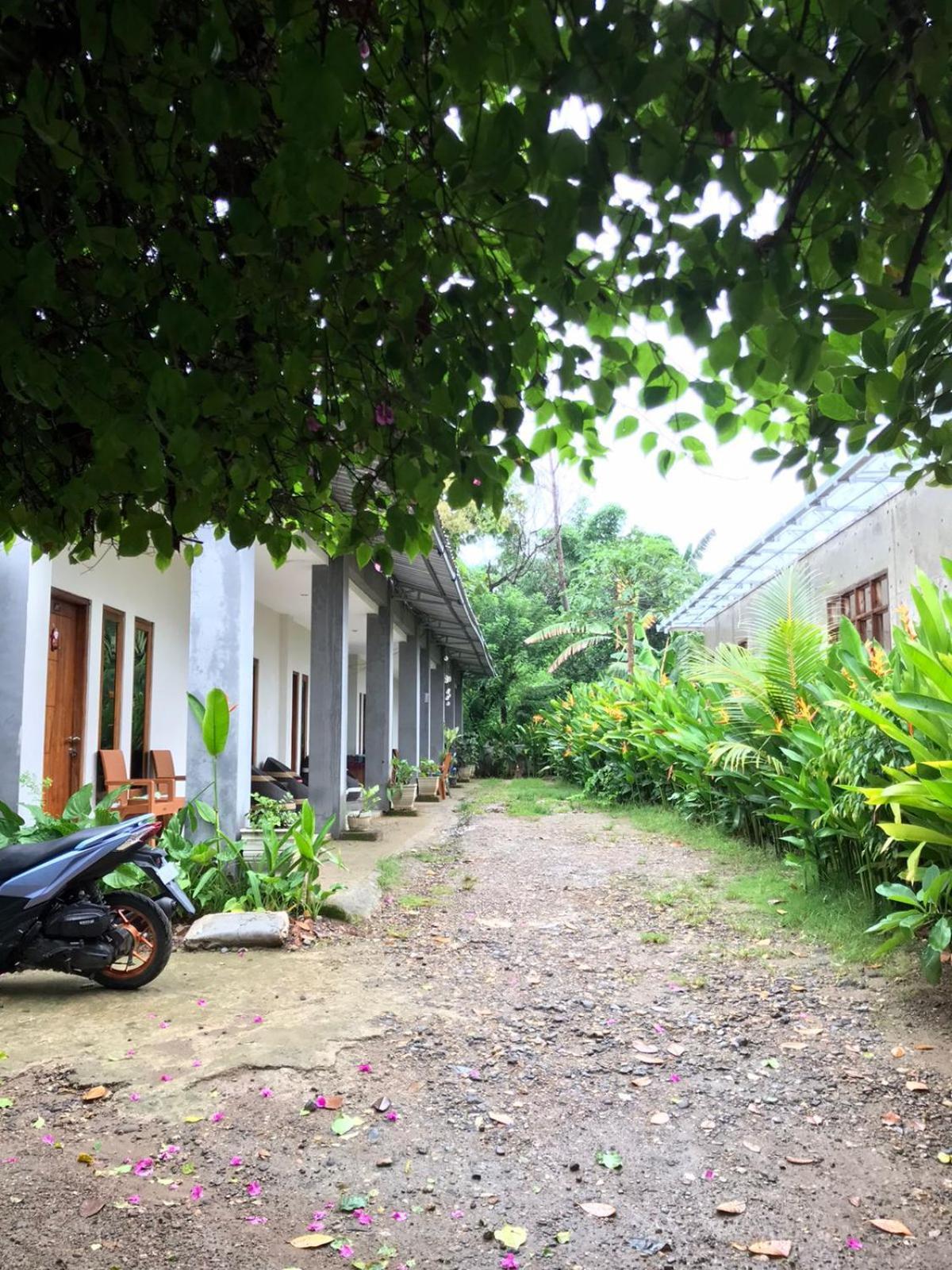 Wl Guesthouse 라부안 바조 외부 사진