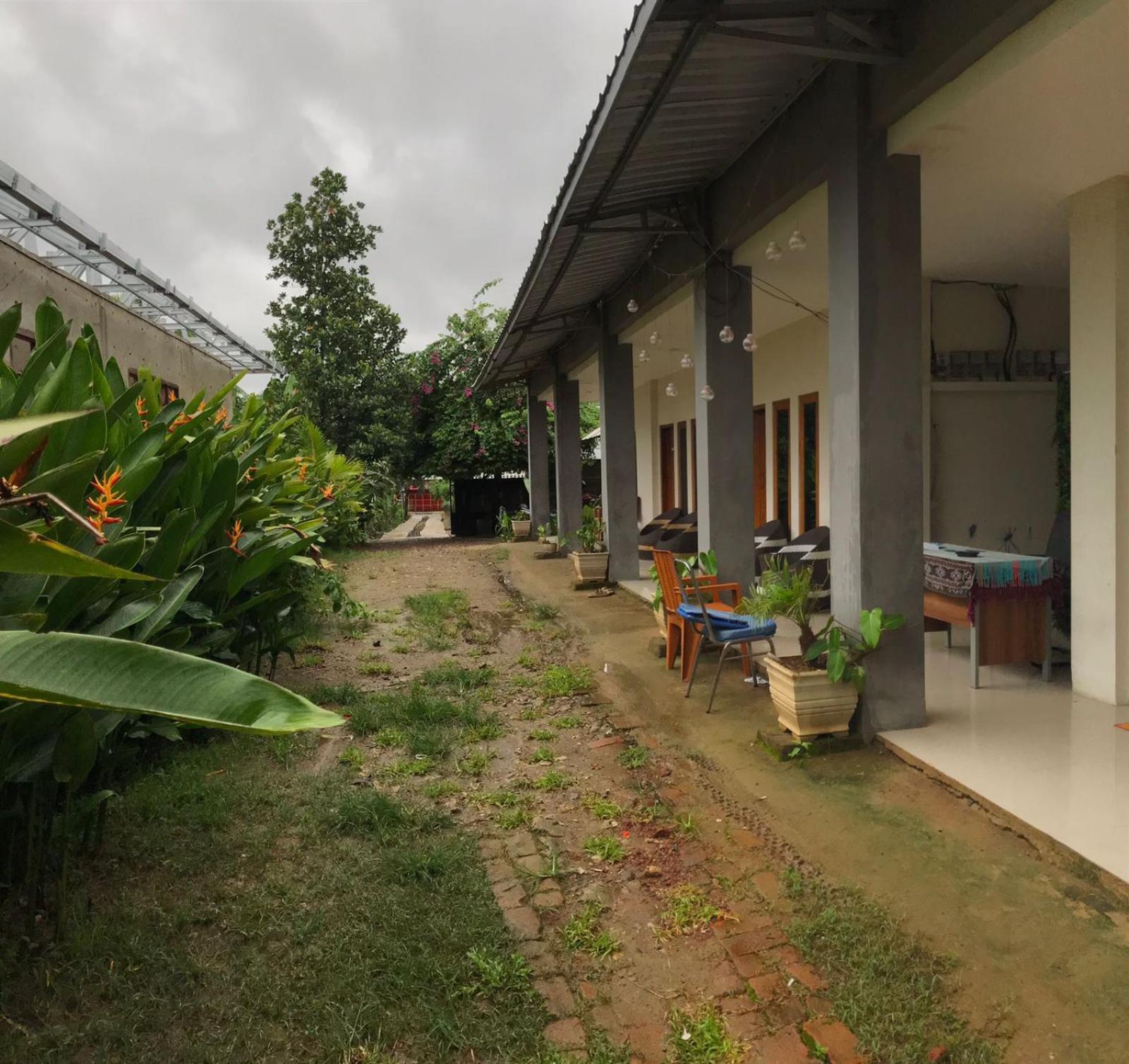 Wl Guesthouse 라부안 바조 객실 사진